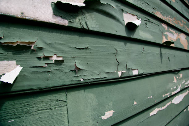 Best Scrap Metal Removal  in Maury, NC